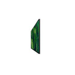 FW65BZ35PB.CEI - Sony 65" Pro BRAVIA 500nit DBNG Standard | APLIUM
