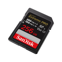 SanDisk SDSDXEP-256G-GN4IN memoria flash 256 GB SDXC UHS-II | APLIUM