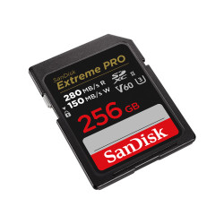SanDisk SDSDXEP-256G-GN4IN memoria flash 256 GB SDXC UHS-II | APLIUM