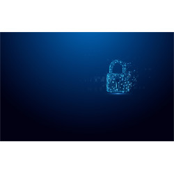 64GB Usb-c Ironkey Vault P 50C AES-256 Encrypted Fips 197 | APLIUM