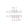 Aten US4224-AT 2x4 USB 2.0 Sharing Conmutador | APLIUM