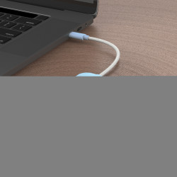 Eco-friendly Usb-c To 4-PORT Type-c Type-a Gen 2 Hub | APLIUM