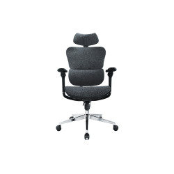 Ergonomic Premium Office | APLIUM
