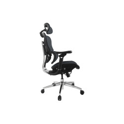 Ergonomic Premium Office | APLIUM