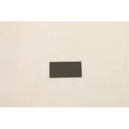 Sponge L 20YM SPONGE_M