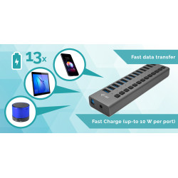 I-tec USB 3.0 Hub 13 Port 60 W | APLIUM