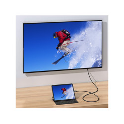 Usb-C To Hdmi Cable, M/M, | APLIUM