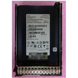 960GB SATA 6G SFF RI DS SSD