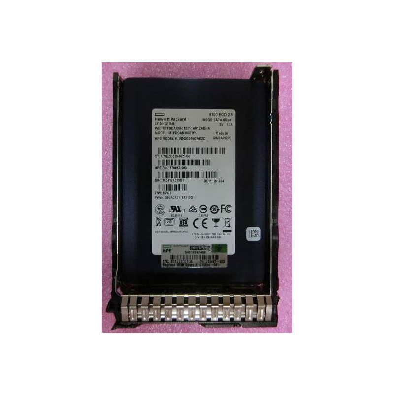 960GB SATA 6G SFF RI DS SSD