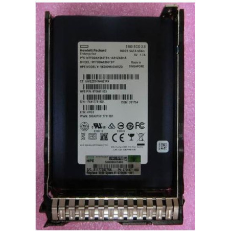 960GB SATA 6G SFF RI DS SSD