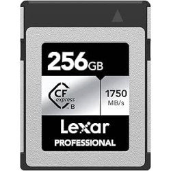 Lexar 256GB Professional Cfexpress Type B Card Silver, Up To | APLIUM