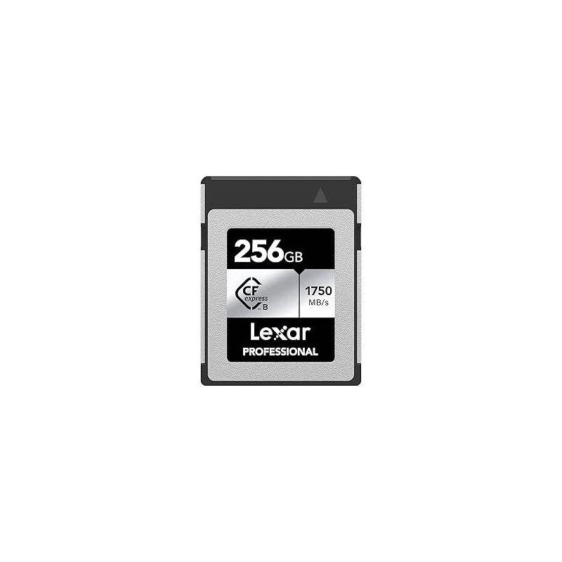 Lexar 256GB Professional Cfexpress Type B Card Silver, Up To | APLIUM
