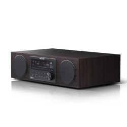Sharp ALL-IN-ONE HI-FI Sound System Microcadena de música pa | APLIUM