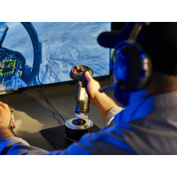Thrustmaster F/A-18C Hornet HOTAS Negro Palanca de mando | APLIUM