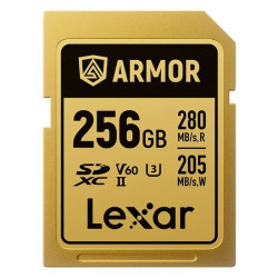 Lexar 256GB Professional Armor Gold Sdxc Uhs-ii Cards, Up To | APLIUM