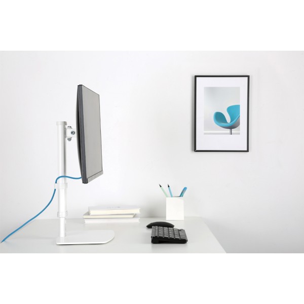 newstar-flatscreen-desk-mount-7.jpg