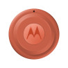 Moto Nano Tag 2 Arabasque Singles