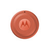 Moto Nano Tag 2 Arabasque Singles
