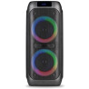 Altavoz Portable con Bluetooth NGS Wild Banger 2/ 160W | APLIUM