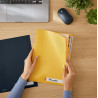 P-3 Dossier Priv. C/SEP. Cosy Amarillo Leitz 47160019 | APLIUM