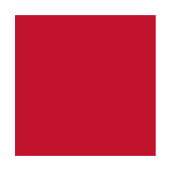 Cricut Smart Iron-on Joy Xtra 24,1X61CM (RED) | APLIUM