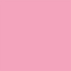Cricut Smart Vinyl Permanent Joy 14X122CM 1 Sheet (MAT Light | APLIUM