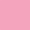 Cricut Smart Vinyl Permanent Joy 14X122CM 1 Sheet (MAT Light | APLIUM