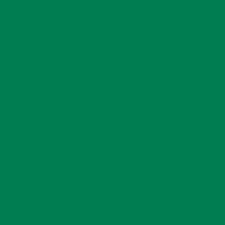 Cricut 2011602 vinilo adhesivo Permanente Verde Mate | APLIUM