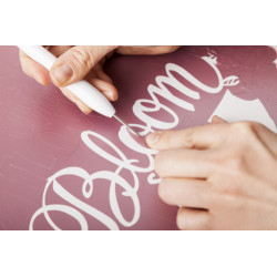 Cricut 2004233 desmalezadora | APLIUM