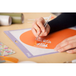Cricut 2004233 desmalezadora | APLIUM
