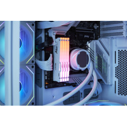 Kingston Technology FURY Beast RGB módulo de memoria 32 GB 1 | APLIUM