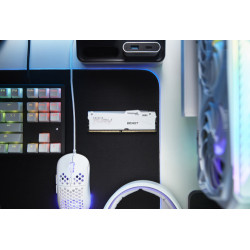 Kingston Technology FURY Beast RGB módulo de memoria 32 GB 1 | APLIUM