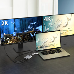 Usb-c To Dual HDMI Multi-monitor Adapter | APLIUM