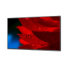 Sharp 60005056 - 55 Ma-series Large Format Display UHD Wcg | APLIUM