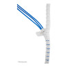 Spiral Cable Wrap 25 Mm. Multiple Cables White | APLIUM