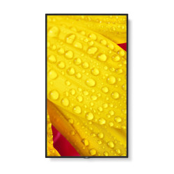 NEC MultiSync M551-2 Diseño de quiosco 127 cm (50") LED 4K U | APLIUM