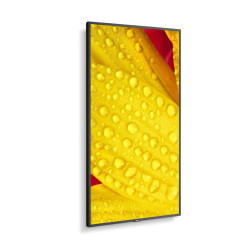 NEC MultiSync M551-2 Diseño de quiosco 127 cm (50") LED 4K U | APLIUM