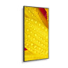 NEC MultiSync M551-2 Diseño de quiosco 127 cm (50") LED 4K U | APLIUM