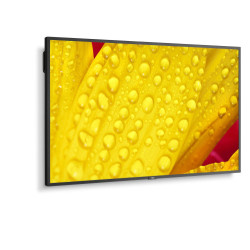 NEC MultiSync M551-2 Diseño de quiosco 127 cm (50") LED 4K U | APLIUM