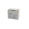 AGM Battery - TL12-45