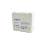 AGM Battery - TL12-55