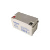 AGM Battery - TL12-65