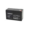 AGM Battery - TL12-70