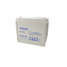 AGM Battery - TL12-135