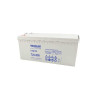 AGM Battery - TL12-200