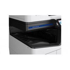 Epson C12C936781, Bandeja, 1 pieza(s)