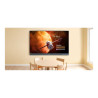BenQ RP6505 pizarra blanca interactiva 165,1 cm (65") 3840 x | APLIUM