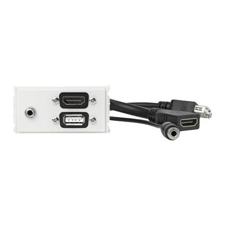 Outlet Panel HDMI, USB, AUD | APLIUM