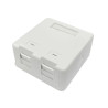 Surface mount box for 2 x | APLIUM
