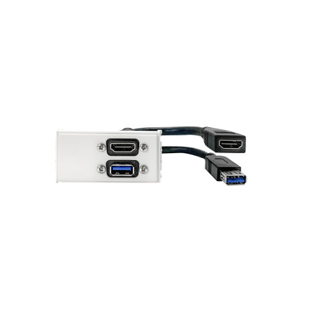 Outlet Panel HDMI 2.0 + USB3.0 | APLIUM